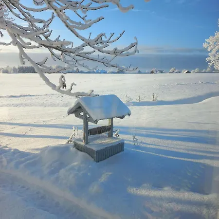 Kopli Majutus * Salu