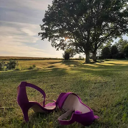 Kopli Majutus Lägenhet Salu