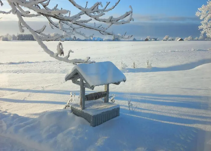 Kopli Majutus * Salu